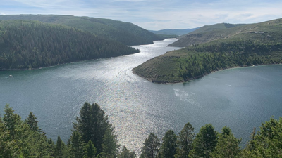 In 1990, Utah used the world’s largest rotenone treatment on Strawberry Reservoir; over 99% of fish biomass vanished and the rebuilt fishery later produced 715,000 catches a year