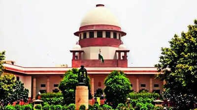 SC clarifies property mutation only serves revenue purposes, cannot by itself establish or extinguish ownership rights Change in revenue record doesn't create, end property title: SC