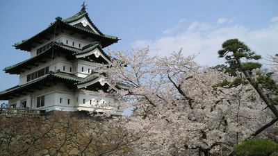 Hundreds of people pulled the keep of Hirosaki Castle closer to its original position After a decade-long restoration, 1,800 volunteers took turns pulling a 400-ton Japanese castle with ropes; 8,000 people had applied for the chance to help move it
