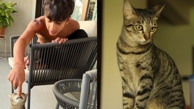 Kiran Rao bids emotional farewell to beloved cat Miri with pictures of her son Azad and their pet. Kiran Rao bids emotional farewell to beloved cat Miri with pictures of her son Azad and their pet.