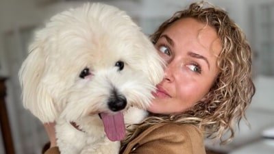 Hayden Panettiere net worth and family: All on parents, partner, daughter and struggles with postpartum depression (haydenpanettiere/Instagram) Hayden Panettiere net worth and family: All on parents, partner, daughter and struggles with postpartum depression (haydenpanettiere/Instagram)