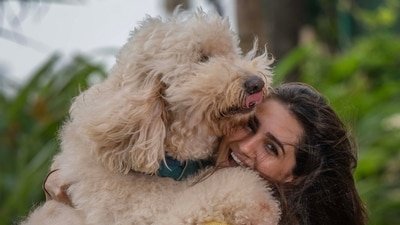 International Dog Day | Vedika Pinto: We need compassion for street dogs (Photo: Satish Bate/HT) International Dog Day | Vedika Pinto: We need compassion for street dogs (Photo: Satish Bate/HT)