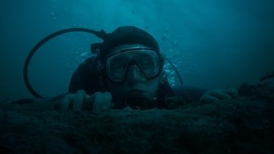 Whalefall trailer: Austin Abrams in the trailer. Whalefall trailer: Austin Abrams in the trailer.