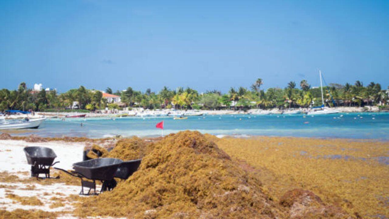 A loss for Mexican tourism<br><br>