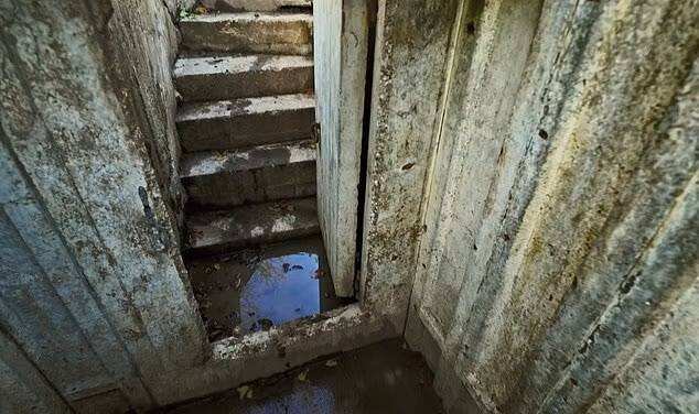 A surprise discovery beneath the garden became one of the most unusual features of their home.