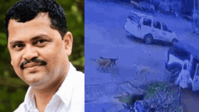 According to police sources, two assailants arrived in a vehicle and opened fire at D'Souza, leaving him with severe bullet injuries. Karnataka horror: Congress leader shot dead in broad daylight, chilling attack caught on cam