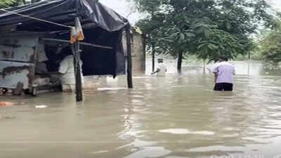 Ahmedabad schools may hold voluntary Sunday classes to cover syllabus loss after rain-related disruptions Gujarat rain impact: Sunday classes proposed for Ahmedabad schools, attendance to remain voluntary