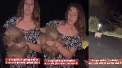 U.S. influencer faced tough action in Australia after picking up a baby wombat from its distressed mother for a viral 'reel'; an important lesson for wildlife-loving travellers