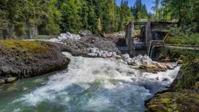 Dam removal on the Middle Fork Nooksack River, Washington (American Rivers photos) The United States removed 100 outdated dams in 2025, reconnecting more than 4,893 river miles across 30 states and setting a single-year record for upstream habitat