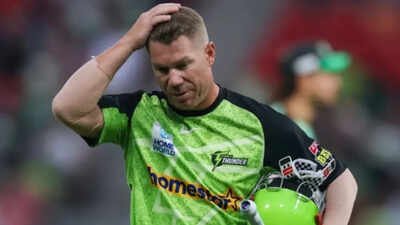 File Pic: David Warner David Warner convicted and fined for drink-driving; Big Bash captaincy under cloud