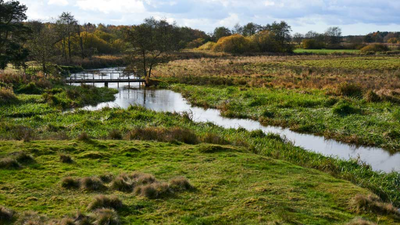 Skjern Å (Skjern River) In 2001, Denmark began turning 19 km of straightened River Skjern into 26 km of bends; researchers later found some lost habitats may take centuries to return