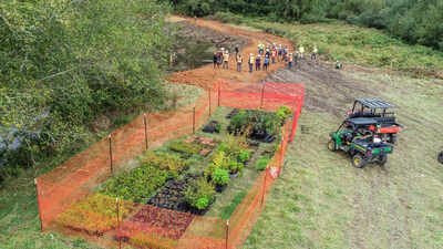 California removed more than 20 acres of asphalt from an old lumber mill and planted 420,000 native plants; early coho marine survival reached 2.6%