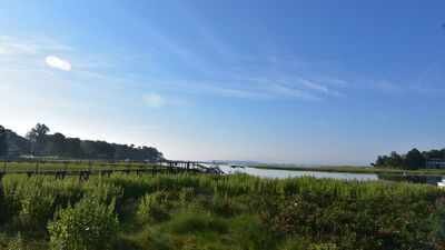 Duxbury, MassachusettsRepresentative image In 2012, conservationists began working to remove an obsolete Massachusetts dam; 14 years later, demolition started to reconnect 7 miles of stream and restore 6 acres of wetland
