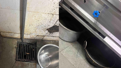 Large-scale infestation of live flies was found in various areas of the kitchen. FDA shuts Radio Club, Khar Gymkhana, McDonald's Colaba kitchens over hygiene violations