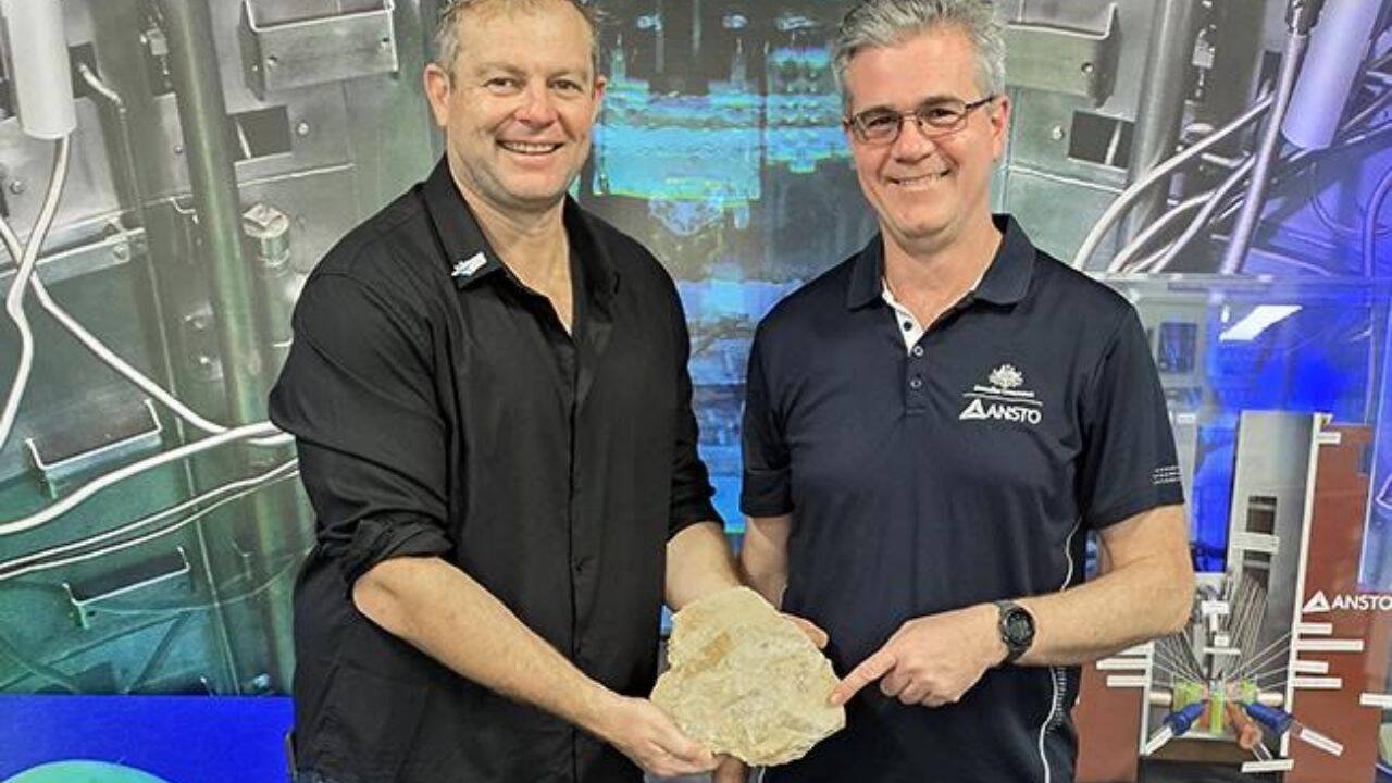 Fossilised stomach that was scanned<br>