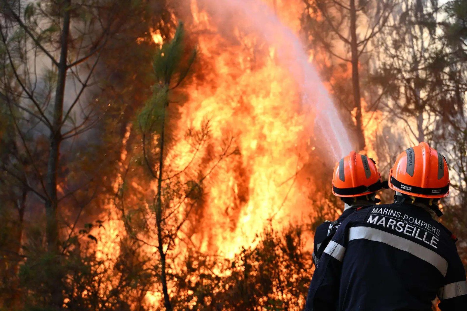 France Wildfires