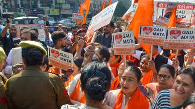 (representative image) Based on the complaint, an FIR has been lodged against the accused for allegedly wrongfully restraining, abusing, and assaulting the men. FIR against 17 for assaulting 4 transporting bovines in J&K
