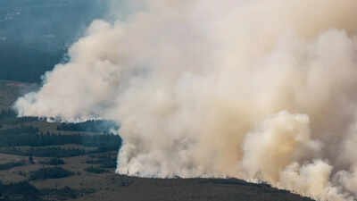 Firefighters from across Belgium, as well as teams from Germany and Luxembourg, have been working alongside the Belgian army and local farmers to prevent the blaze from spreading further. 3,000 hectares up in flames: Belgium battles its biggest wildfire on record