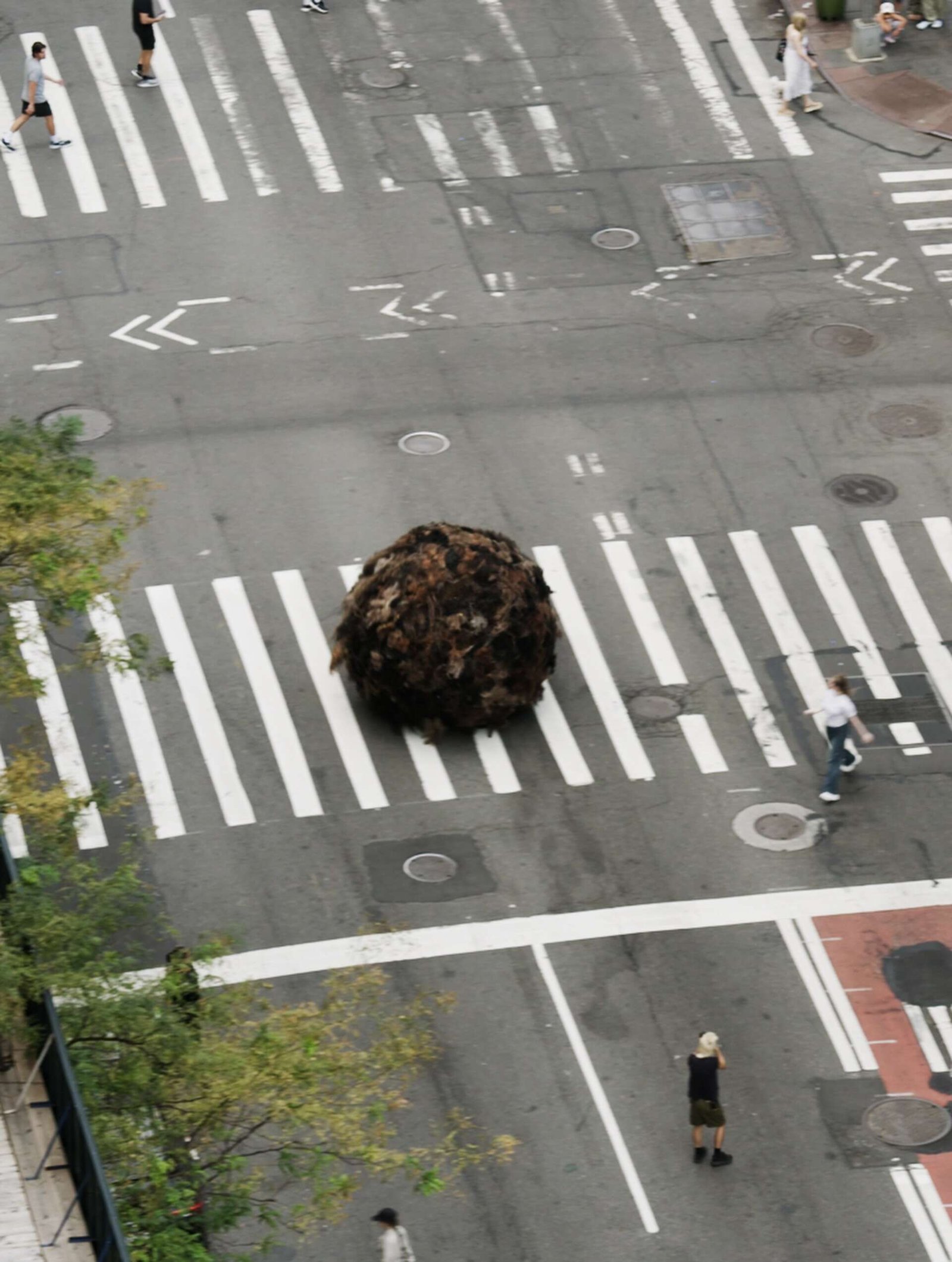 Giant hairball in NYC