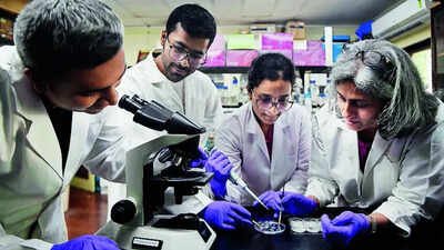 No conflict of interest in RDI Fund, says government