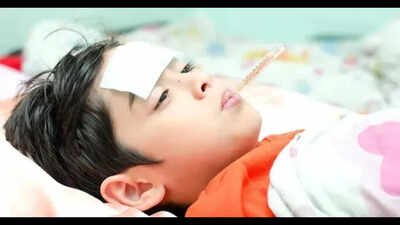 Chandipura virus: The rare infection linked to recent child deaths explained, from early symptoms and transmission to prevention and treatment What is Chandipura virus? As child deaths raise concern, doctor explains how it spreads, early warning signs, and ways to stay protected