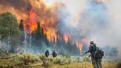 Representative Image In 2023, Canadian wildfires cut solar power generation by 6.38 TWh across North America and Europe, causing an estimated $1.9 billion loss