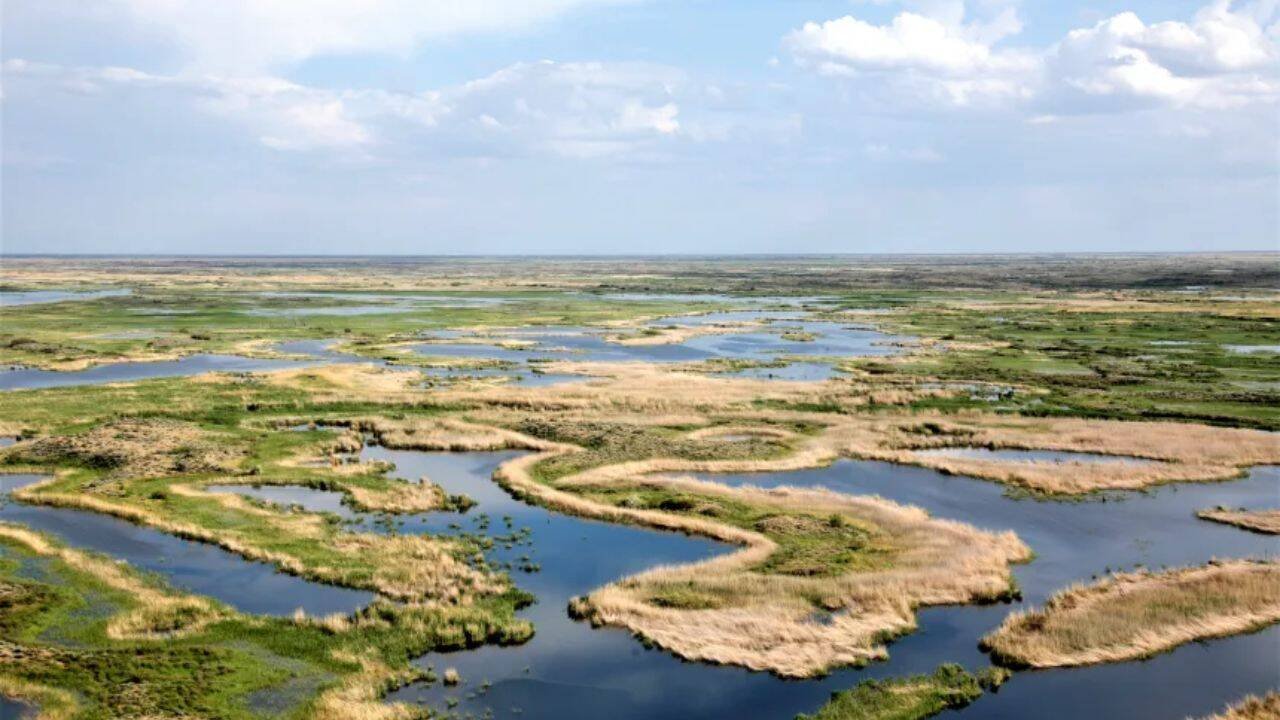Ile-Balkhash State Nature Reserve<br>