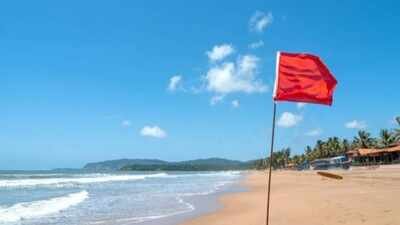 Why is it illegal to take sand from some beaches? The environmental and legal reasons you should know before collecting it