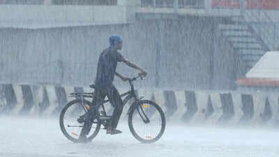 IMD, however, predicted a rise in rainfall activity over Bengal, Odisha, Jharkhand, Chhattisgarh and Bihar from Aug 13 onwards Recent rain has little impact on national monsoon deficit
