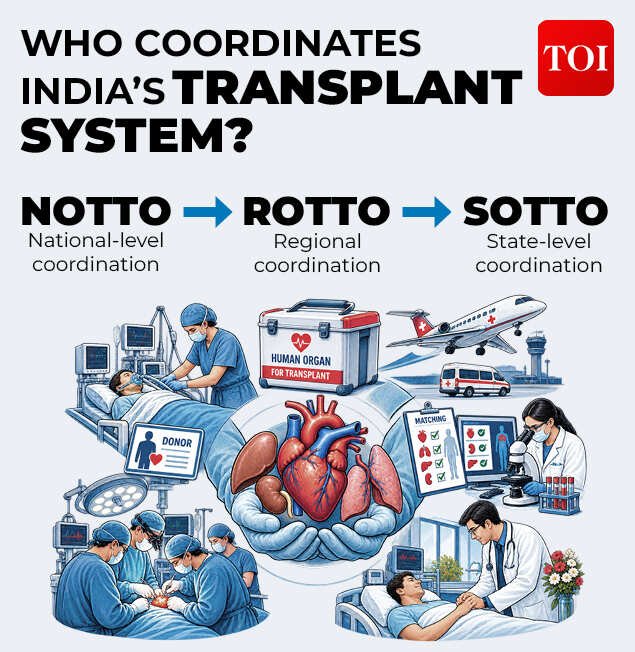 India's organ transplant system works through a three-tier hierarchical network.