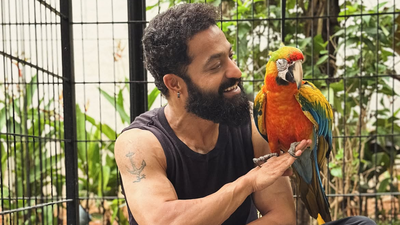 Picture Credit: Facebook Jr NTR health update: ‘Dragon’ actor thanks fans after successful surgery, says, ‘I’m doing well, see you soon!’