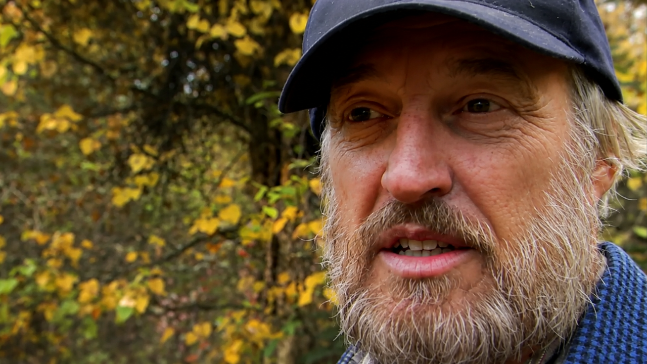 Life on a remote homestead along the Stony River