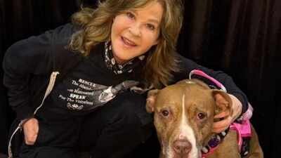 Linda Blair's house gets raided by authorities over kennel operation. (Image credits: Instagram) 'Exorcist' star Linda Blair's California residence gets raided by Animal Control and others over 100-dog kennel operation