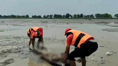 The trail continued into India as Narayani becomes Gandak downstream. SSB teams recovered bodies of two women and a man in Maharajganj. Nepal floods swept bodies 200km downstream, 3 found in UP