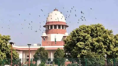 The high court had refused to hear him on the technical ground and prolonged his stay in jail by 10 more years Supreme Court acquits man in jail for 22 years for wrong conviction
