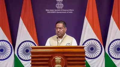 Trump had invoked India’s electoral system while renewing his call for US Congress to pass the SAVE America Act 'Credibility well established globally': MEA on Trump's praise for CEC Gyanesh Kumar