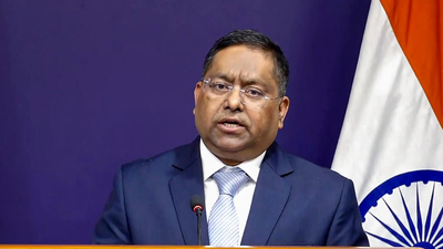 MEA condemns attack on Indian embassy in Slovenia 'Diplomatic premises are inviolable': India condemns embassy defacement in Slovenia