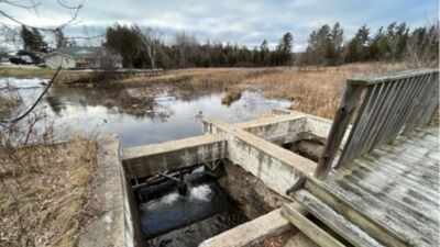 Michigan plans to remove the century-old Sanback Dam in 2026, reopening a half-mile of cold-water stream, restoring 14 wetland acres and protecting more than 70 downstream miles