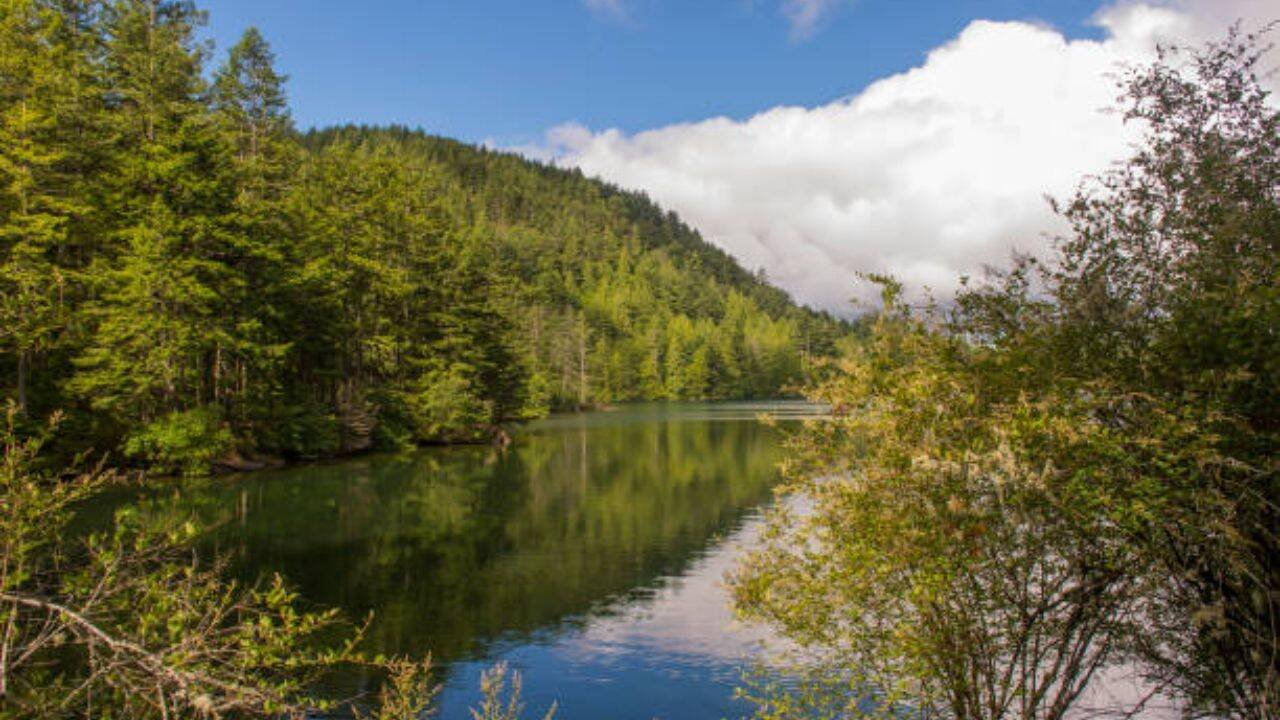 Moran State Park<br><br>