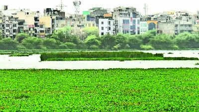 The policy proposes a maximum FAR of 400 for residential, commercial and public-semi-public projects. MPD 2047 proposes high-density development along UER-II: What it means for Delhi’s real estate