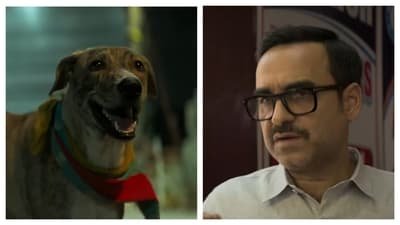 Ohh My Dog tells the story of two separated pups, Momo and Oscar, as their humans search for them. Ohh My Dog tells the story of two separated pups, Momo and Oscar, as their humans search for them.