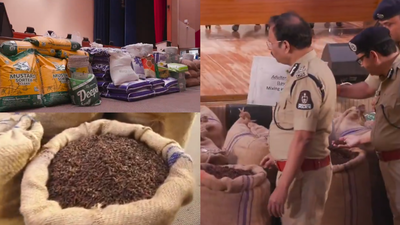 Over 25,000 kg of hazardous chemical-laced spices were seized during raids Spices coated in cloth dye, talcum powder? Hyderabad raids expose shocking food adulteration
