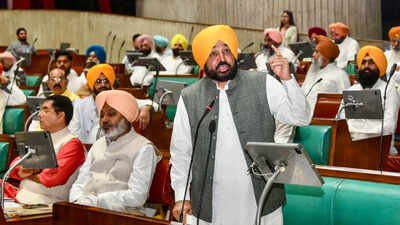 File photo: Punjab chief minister Bhagwant Mann addresses the House ‘Why the hurry?' Punjab Assembly opposes E20 policy, alleges Centre acted under US pressure