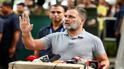 'Defeat delimitation': In Tamil Nadu, Rahul Gandhi's appeal to parties with 'Ettappan' warning