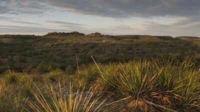 Bamberger Ranch PreservePhoto credit: https://www.bambergerranch.org In 1969, a Church’s Fried Chicken co-founder bought 3,000 acres of neglected Texas ranchland; decades of restoration brought long-absent springs and flowing water back