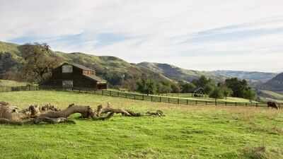 Photo credit: Canva (Representative image) In 1974, the National Park Service bought the Stewart family's 890-acre California ranch; they negotiated the right to remain and continued ranching there until 2021