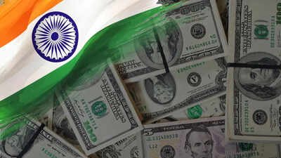 Forex boost: RBI's special swap facility draws $40.8 billion in foreign inflows by July-end