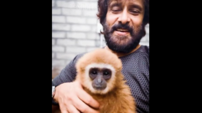 Vikram’s reel showed a well-grown adult animal, which could not have been procured recently. Actor Vikram flaunts lar gibbon; conservationists raise red flag