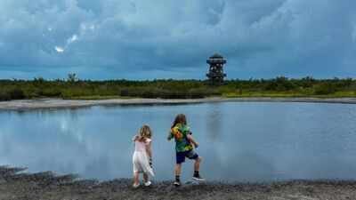 Robinson PreservePhoto credit: Lindsay Rosegger/NOAA Fisheries Florida spent about $17 million transforming degraded farmland near Tampa Bay into Robinson Preserve, a 700-acre coastal refuge that now draws about 240,000 visitors annually