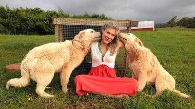 Sally Kellerman's adopted daughter Claire Kellerman has sued a Scottish community-run cafe, claiming she was discriminated against after her assistance dog was refused entry. ‘I’m not going anywhere’: Sally Kellerman’s adopted daughter Claire Kellerman speaks out amid bitter Scottish island dispute over assistance dog after Equality Act lawsuit